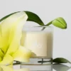 Bougie Alo Love - 8 oz