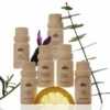 Coffret de collection d’huiles essentielles